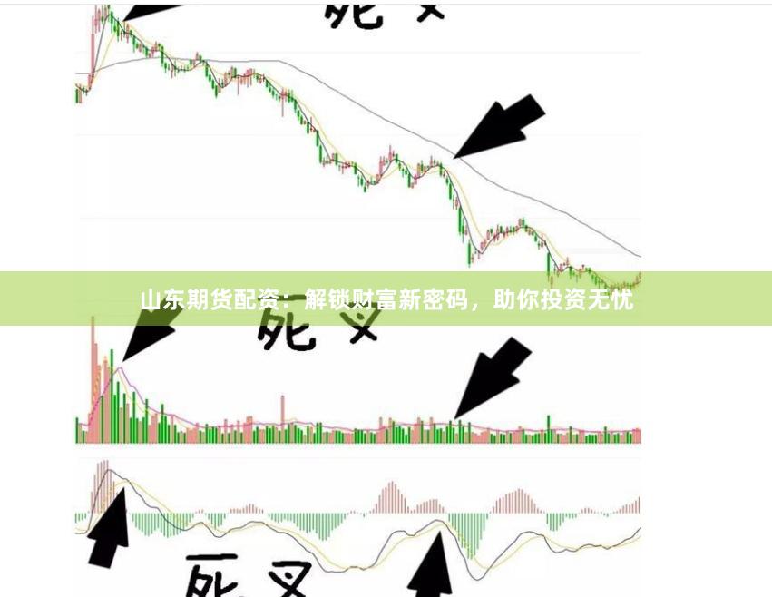 山东期货配资：解锁财富新密码，助你投资无忧