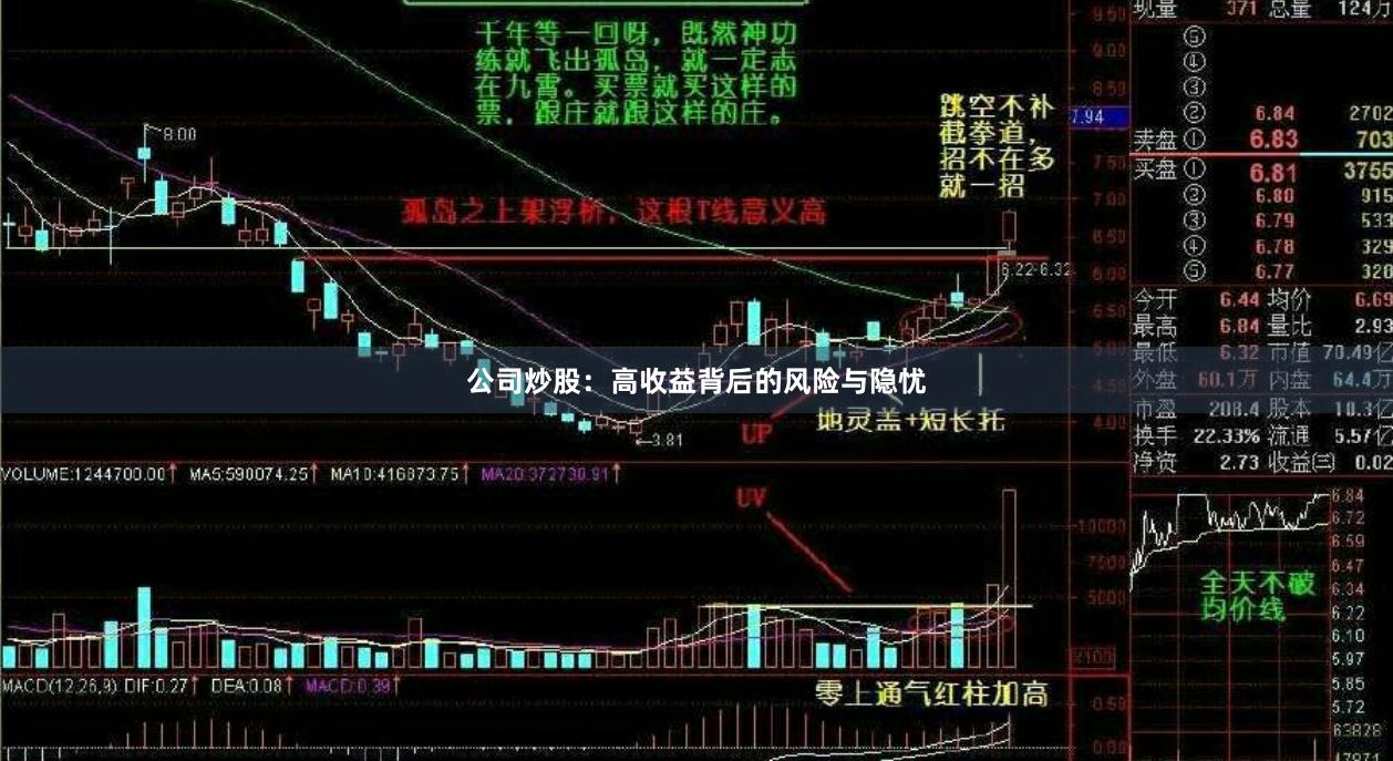 公司炒股：高收益背后的风险与隐忧