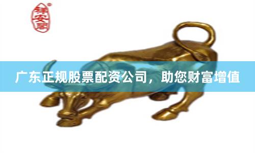 广东正规股票配资公司，助您财富增值