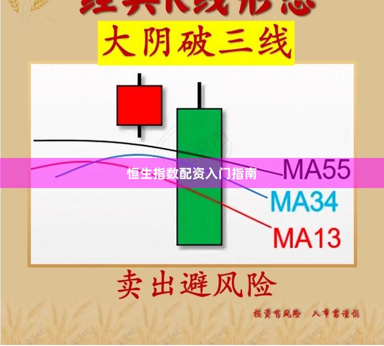 恒生指数配资入门指南