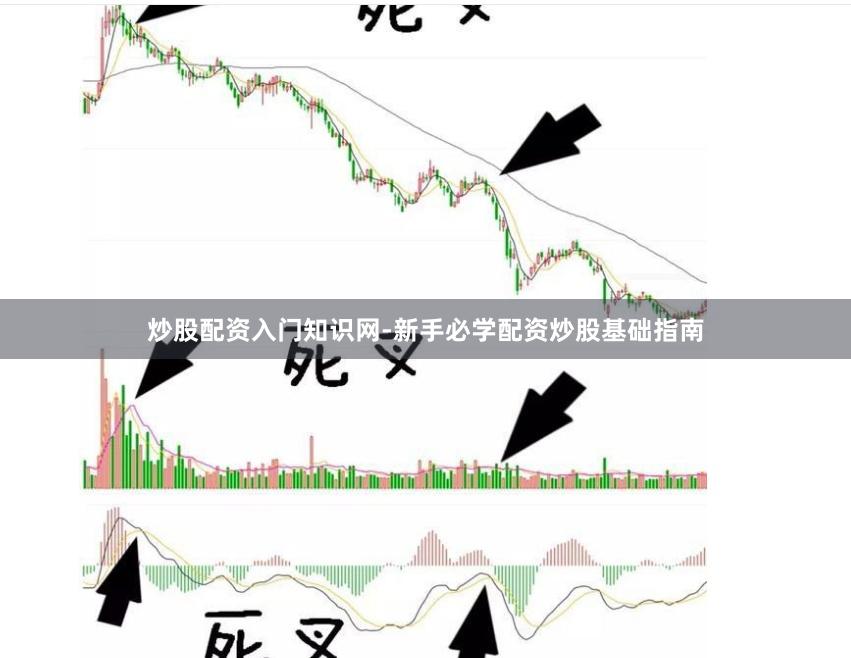 炒股配资入门知识网-新手必学配资炒股基础指南