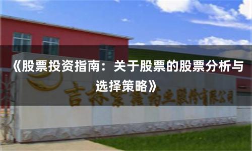 《股票投资指南：关于股票的股票分析与选择策略》
